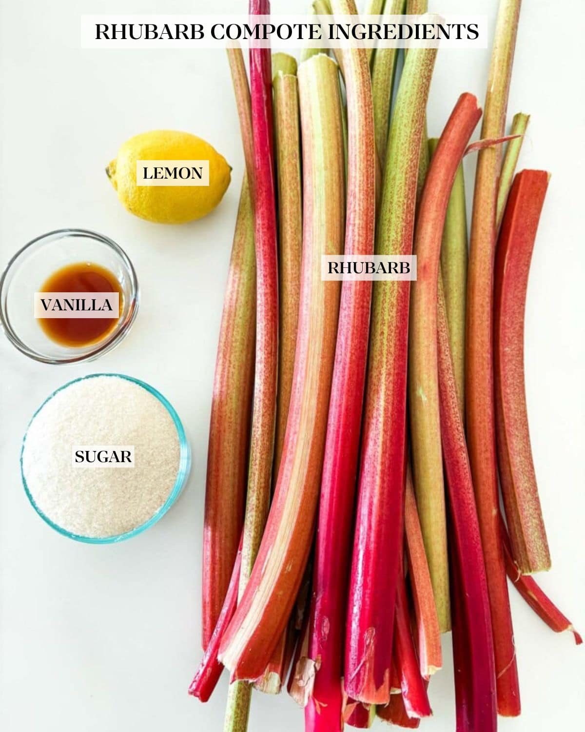 rhubarb compote ingredients arranged neatly and labeled - lemon rhubarb, vanilla, sugar. 